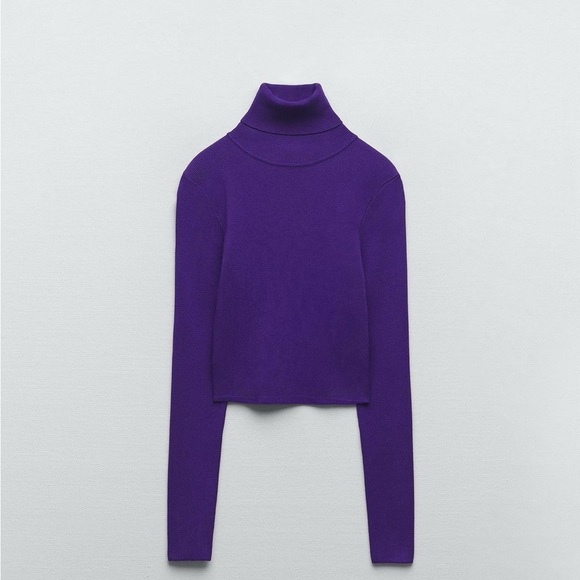 Zara Purple Turtleneck Top | Size XL | 71%
Viscose, 29% Polyamide - Picture 1 of 8